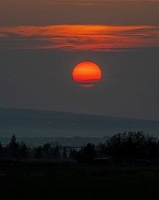 The atmosphere here in Teton Valley has been hazy the past few days with smoke from the extensive forest fires in western Canada. Sunsets are marked by the red ball sun disappearing behind low cloud cover near the horizon. #tetonvalleyidaho #driggsidaho #bestofthegemstate #idahosunsets #orcuttphotography.danstpeter.com
