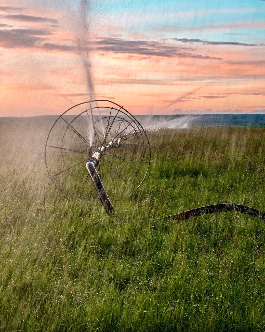 Wheel Line Irrigation in Teton Valley, Idaho. orcuttphotography.danstpeter.com #tetonvalleyidaho #driggsidaho #wheellineart #bestofthegemstate