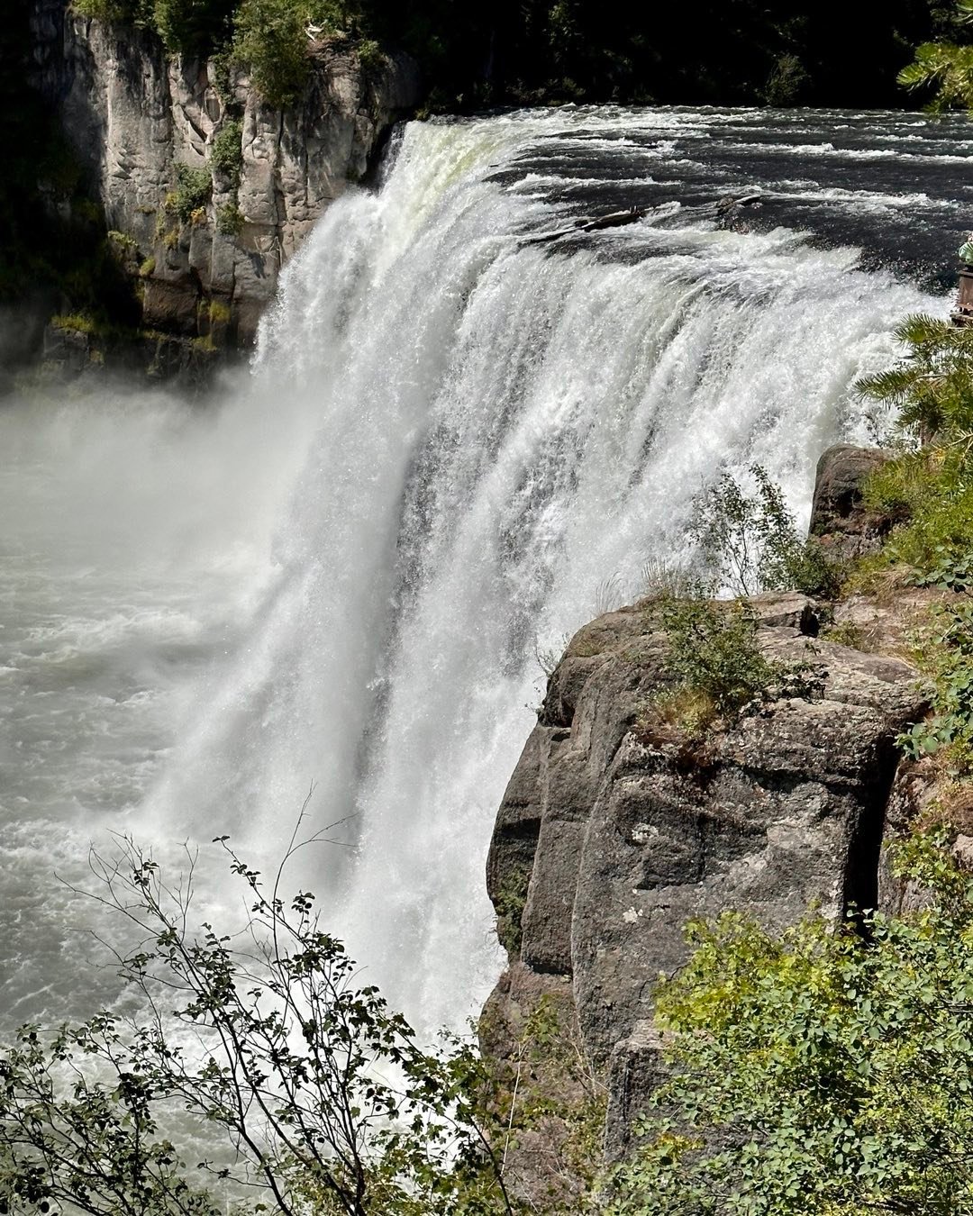 Spectacular Upper Mesa Falls. Info from Wekipedia: Upper Mesa Falls is a waterfall on the Henrys Fork in the Caribou-Targhee National Forest. Upstream from Lower Mesa Falls, it is roughly 16 miles away from Ashton, Idaho. Upper Mesa Falls is roughly 114 feet high and 200 feet wide. Wikipedia #uppermesafallsidaho #henry’sforkofthesnakeriver #easternidaho #bestofthegemstate