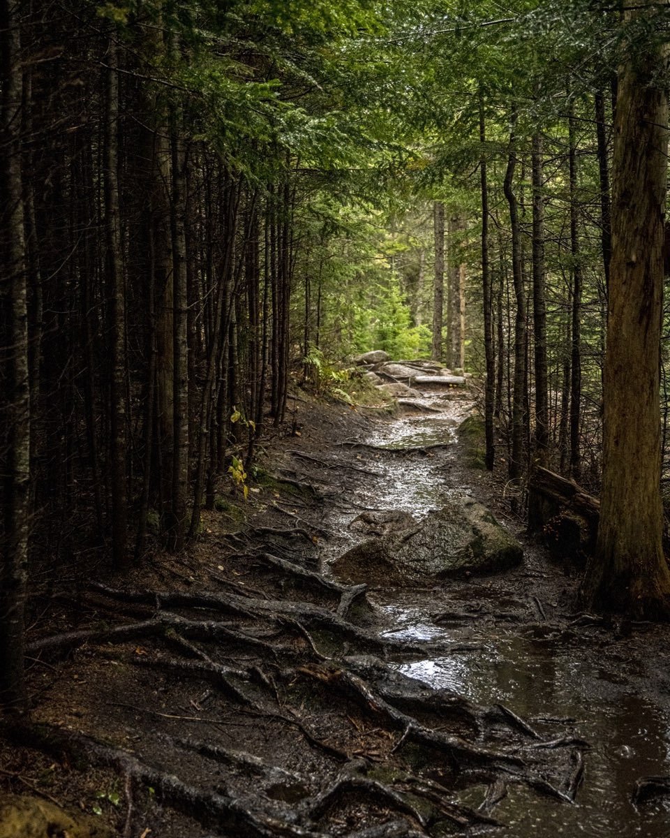 Today I was reminded of another stormy day a couple of years ago on MDI. We hiked the short trail to Hunter Beach and on the way back the heavens opened and we were soaked coming up the trail, slippery roots and all. #mt.desertisland #acadianationalpark #hunterbeach #wettrail #rainyday
